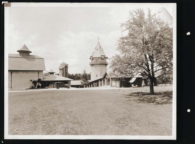 highLawn2