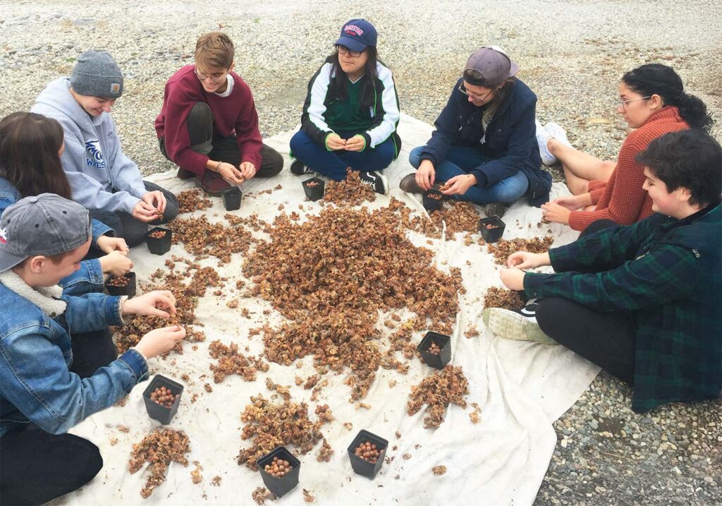 An Edible Legacy: There's a Nut Tree in Your Future - Edible