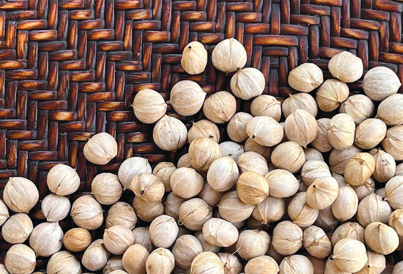 hickory-nuts-basket.jpg