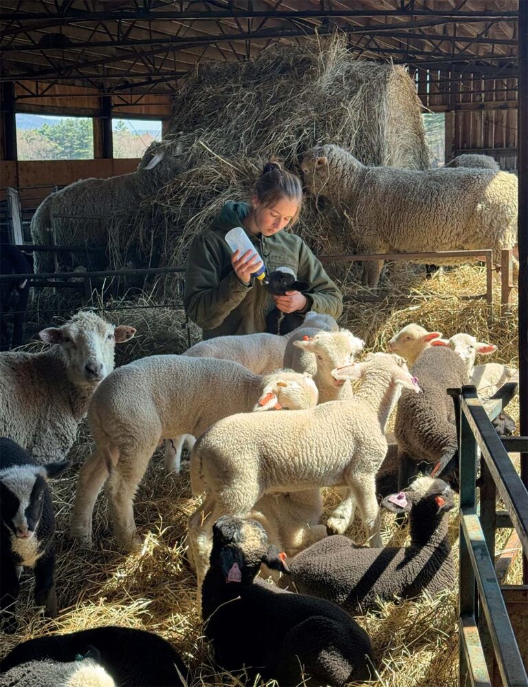Spring On Lila’s Mountain Farm - Edible Berkshires